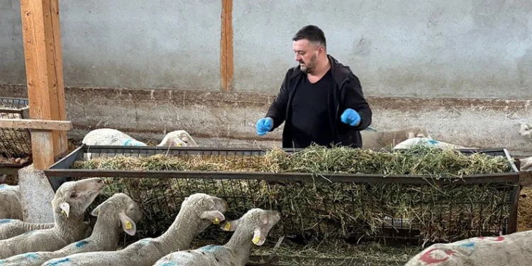 Şap mağduru üreticiler destek bekliyor