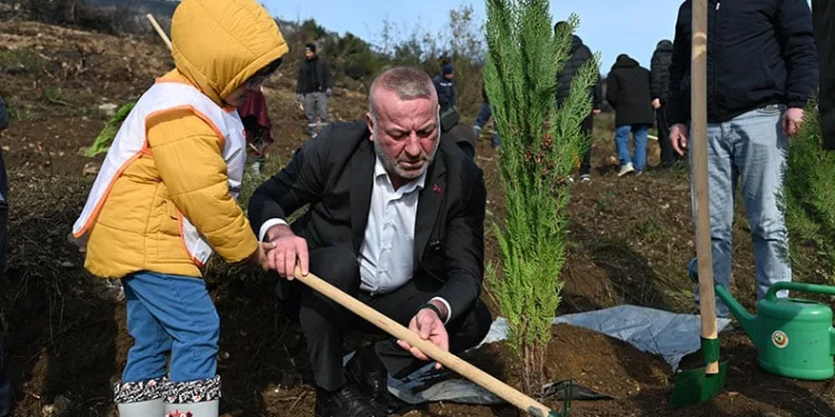 Karacabey’de yangın sonrası ilk fidanlar toprakla buluştu