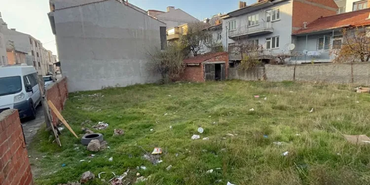 Eskişehir’de boş arsada 8 ölü kedi bulundu