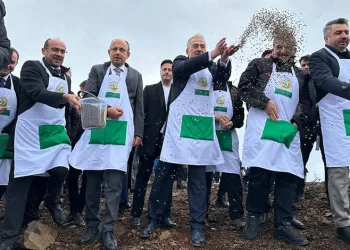 Harmancık’ta yanan 4 bin 256 hektar alan ağaçlandırılıyor