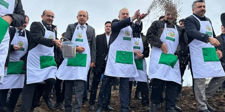 Harmancık’ta yanan 4 bin 256 hektar alan ağaçlandırılıyor