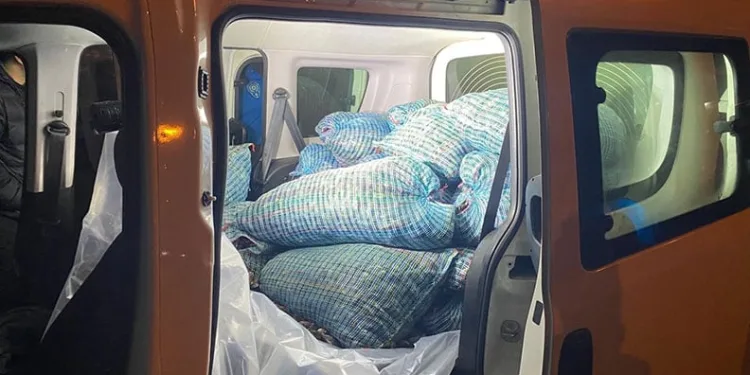 Samsun’da 300 kilo kaçak midye ele geçirildi