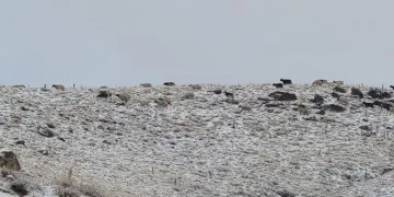 Van’da kış yüzünü gösterdi