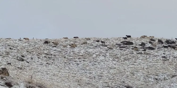 Van’da kış yüzünü gösterdi
