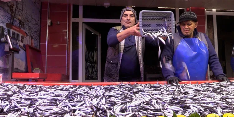 Bolu’da hamsinin kilosu 150 liraya düştü