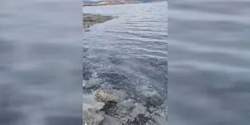 Salda Gölü’nde su kayıpları artıyor