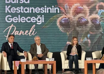 Bursa kestanesinin geleceği konuşuldu