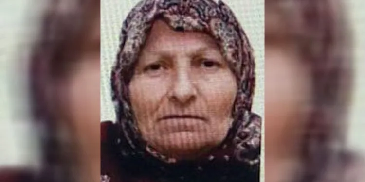 Bilecik’te kaybolan yaşlı kadını jandarma buldu
