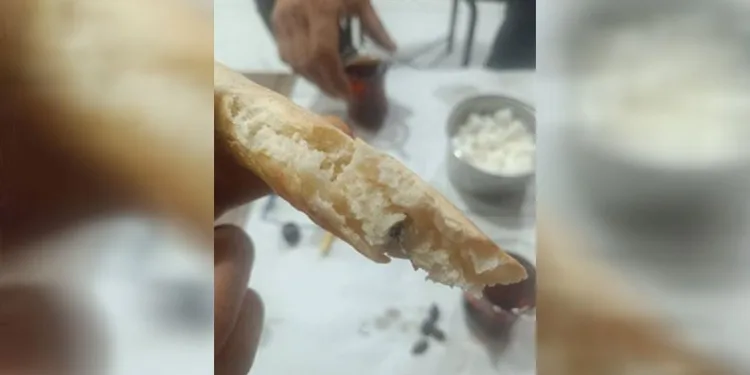 Ekmeğin içinden sinek çıktı
