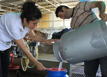 Üreticiler süt fiyatında güncelleme istiyor