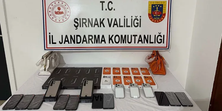 Şırnak’ta jandarmadan dev operasyon