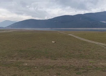 Bursa’da bir göl daha yok oluyor…