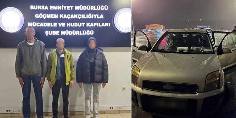Bursa’da kaçakçılık operasyonu: 8 kaçak göçmen yakalandı