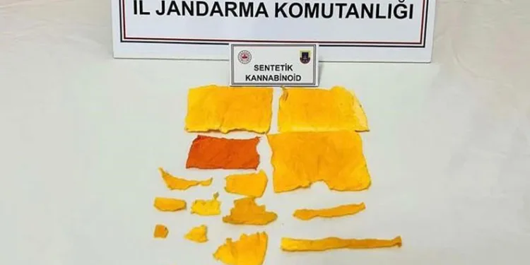 Uyuşturucu operasyonunda 1 şüpheli tutuklandı