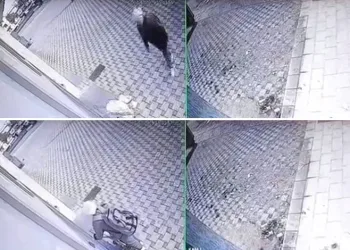 Bursa’da pazar arabası hırsızlığı