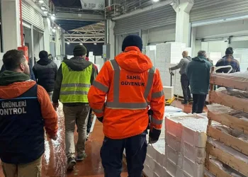 Bursa’da balık halinde gece operasyonu