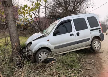 Bursa’da ticari araç ağaca çarptı: 1’i çocuk 2 yaralı