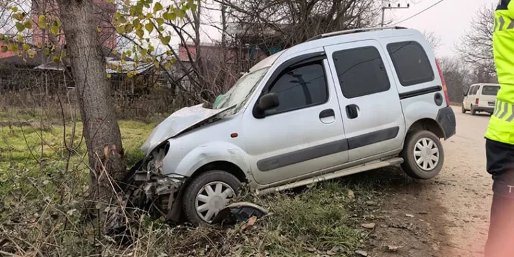 Bursa’da ticari araç ağaca çarptı: 1’i çocuk 2 yaralı