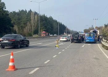 Bursa-Mudanya yolunda bisikletli kazası: 1 yaralı