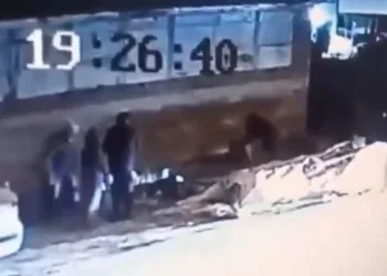 Demirtaş’ta başıboş köpek dehşeti: 3 kişi yaralandı