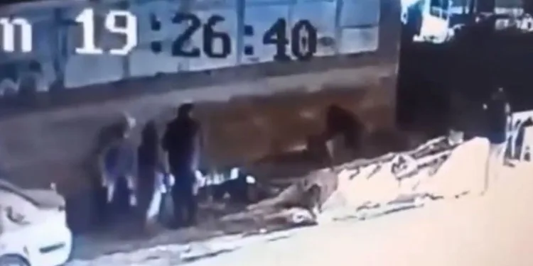 Demirtaş’ta başıboş köpek dehşeti: 3 kişi yaralandı