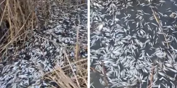 Güneşi gören kardan adam eriyip kaldırımda devrildi