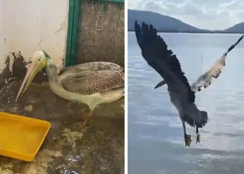 Bursa’da çay ocağında gece yarısı yangın