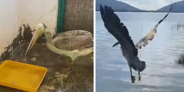 Bursa’da çay ocağında gece yarısı yangın