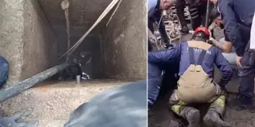 Bursa’dan dünyaya ihracat hamlesi
