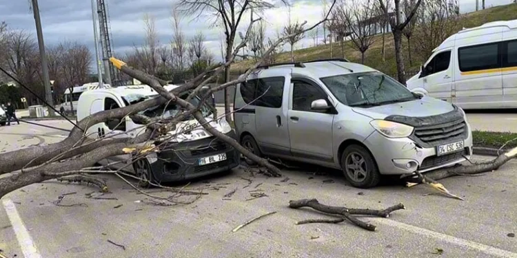 Yenişehir Uluslararası Havalimanı’nda umre yoğunluğu: Yıllık 20 bin yolcu hedefine ulaşıldı