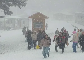 Osmangazi Kent Konseyi’nin yeni Başkanı Sevim Sakallı oldu