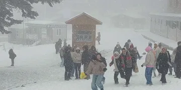 Osmangazi Kent Konseyi’nin yeni Başkanı Sevim Sakallı oldu