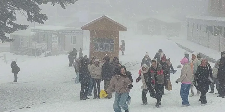Osmangazi Kent Konseyi’nin yeni Başkanı Sevim Sakallı oldu