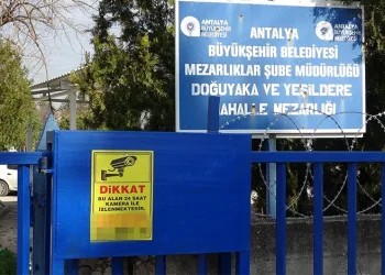 Babasının mezarındaki çiçekleri söküp uyuşturucu sakladılar