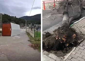 Güneşi gören kardan adam eriyip kaldırımda devrildi