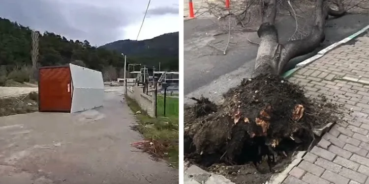 Güneşi gören kardan adam eriyip kaldırımda devrildi