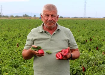 Çiftçilerden çağrı: “Üretim maliyetleri baskılanamaz hale geldi”