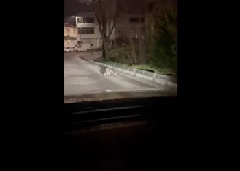 İnegöl’de uyuşturucu operasyonu: 1 tutuklama