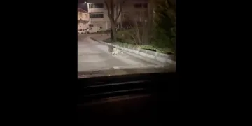 İnegöl’de uyuşturucu operasyonu: 1 tutuklama