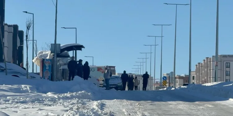 Malatya’da 2 bin rakımda dam üstlerinde kar mesaisi