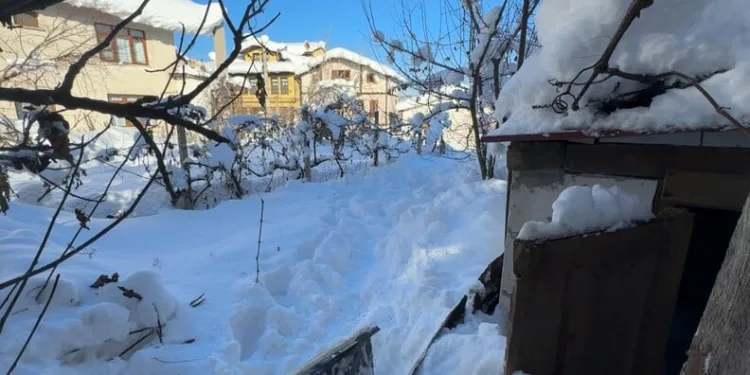 Antalya’da gümrük kaçağı güneş gözlüğü ve saat ele geçirildi