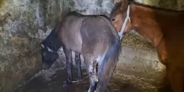 Kütahya’da kaçakçılığa darbe, 3 şüpheli gözaltına alındı