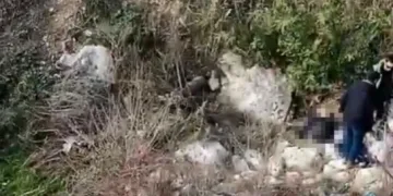 Elazığ’da silahlı saldırı: 1 yaralı