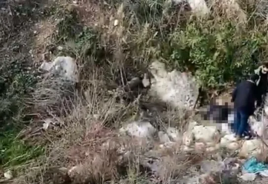 Elazığ’da silahlı saldırı: 1 yaralı