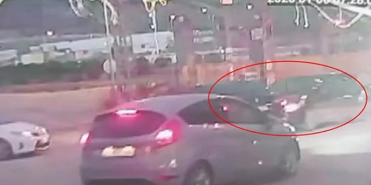 Dumandan zehirlenen 6 günlük buzağıya bagajda acil müdahale
