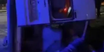 Dumandan zehirlenen 6 günlük buzağıya bagajda acil müdahale