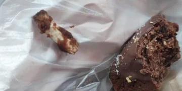 Dumandan zehirlenen 6 günlük buzağıya bagajda acil müdahale