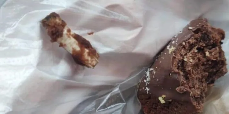 Dumandan zehirlenen 6 günlük buzağıya bagajda acil müdahale
