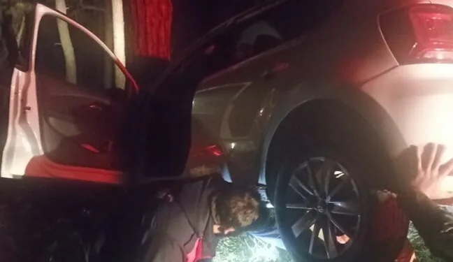 Dumandan zehirlenen 6 günlük buzağıya bagajda acil müdahale