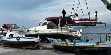 Dumandan zehirlenen 6 günlük buzağıya bagajda acil müdahale